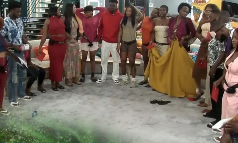 The 19 Nominated Housemates